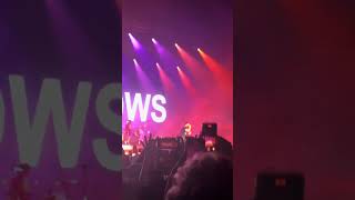 this is a wallows concert… wallows concert shorts funny music [upl. by Lavud857]