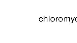 How to pronounce chloromycetin [upl. by Accire335]