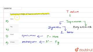 Cysticercus stage of taenia soilum is found in [upl. by Aitam]