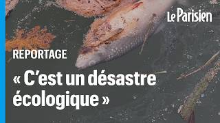 Pêcheurs écologistes… ils veulent tous la vérité sur la pollution du canal de Loing [upl. by Lafleur192]