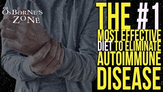 The 1 Most Effective Diet to Eliminate Autoimmune Disease [upl. by Haidabej]