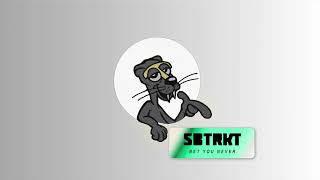 SBTRKT  BET YOU NEVER Official Audio [upl. by Ilarin]