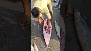 Dry Fish Making Process  in Kakinada Fishing Harbour  Fishers King YouTube Channel [upl. by Goodill]