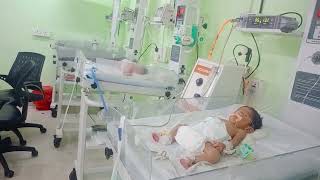 cute baby nicu baby care newbornbaby admission hospital viralvideos [upl. by Mak]