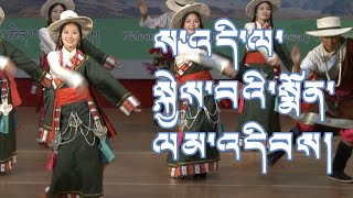 རེབ་གོང་སྐོར་བྲོ། ས་འདི་ལ་སྐྱེས་བའི་སྨོན་ལམ་འདིབས། Rebkong Circle Dance  Yarkyi 2016 [upl. by Nwadrebma]