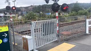 Silverstream pedestrian crossing Southbound [upl. by Lambart]