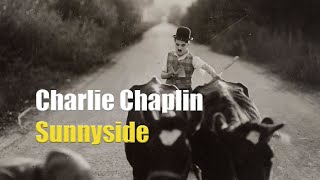 Charlie Chaplin misplaces a herd of cattle  Clip from Sunnyside 1919 [upl. by Ahsinel]