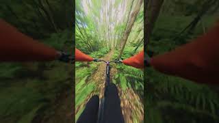 Mountain biking with the Insta360 X4 [upl. by Onit]