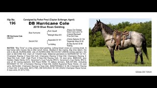 Pitzer Ranch Fall Sale 2024 DB HURRICANE COLE [upl. by Eyma]