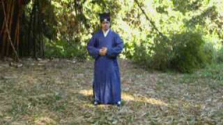 Taoist monk Tian Xin Shan in BrazilWudang Sanfeng Tai Chi exercises [upl. by Aivlys792]