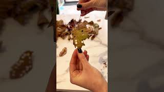 DIY leaf confetti 🍁 sustainablewedding diyconfetti diywedding sustainability [upl. by Leibrag]