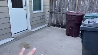 FORT HOOD COMANCHE 1 HOUSE TOUR ON POST HOUSING [upl. by Eadahs333]