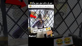 Part 2 👈 Chor Shocked – Shopkeeper Rocks 😂 [upl. by Namia411]