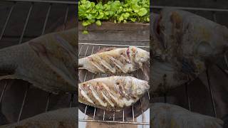 Perfect Charcoal Grilled Fish Recipe From The 1900s [upl. by Eardnoed]