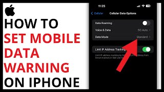 How to Set Mobile Data Warning on iPhone QUICK GUIDE [upl. by Araihc300]