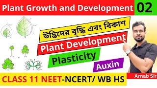 Plant Growth and Development 02 in Bengali  Plant Development  Plasticity  Class 11 NEET Biology [upl. by Eelarual]