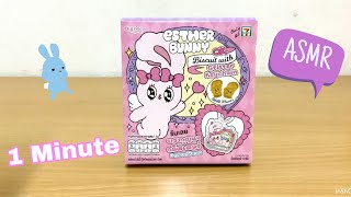 1 Minute ASMR  Esther bunny🐰🩷 [upl. by Chapel]