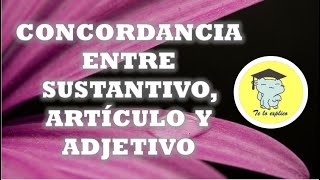 CONCORDANCIA ENTRE SUSTANTIVO ARTÍCULO Y ADJETIVO [upl. by Phillida]