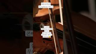 브람스심포니국제음악제contrabassoonclassicmusicbrahms [upl. by Melise235]