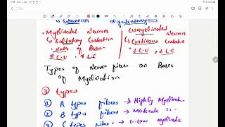 Myelin sheath in Hindi  myelination of CNS and PNS fibers  types of Nerve Fibers [upl. by Eram]