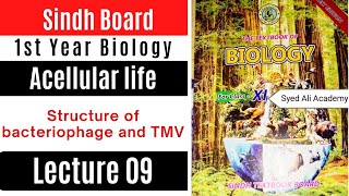 structure of bacteriophage  structure of TMV acellular life class 11 biology Sindh text book board [upl. by Kcirdek]