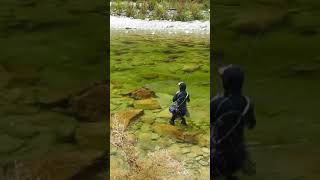 Only one try fishing flyfishing trout fish troutfishing art [upl. by Ovatsug235]