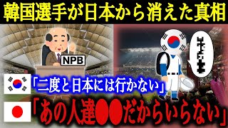 韓国「もう韓国の選手が日本に来ることはない。なぜなら…」日本野球から韓国人選手が姿を消した真相とは [upl. by Aihsatan]