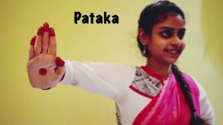 Learn Asamyuta Hasta Single Hand Gestures Quickly Bharatanatyam [upl. by Anytsirk]