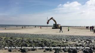 BaumMaßnahmen auf Wangerooge [upl. by Anahsor]