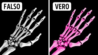 Fatti Sul Corpo Incredibili Che Non Crederai Senza Prova [upl. by Alden354]