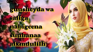 DADKA WEY HADLAN LAKIN ADGA MIDKE KU SAMEEYO [upl. by Linda]