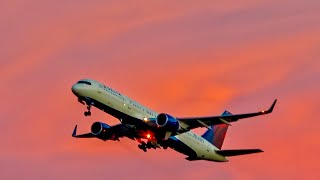 Security Escorted Me Out Nicely New Location Spotting TPA [upl. by Clower]