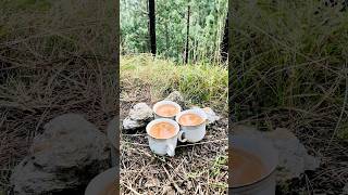 Tea making asmr😋asmr food cooking outdoors nature [upl. by Aggappora]