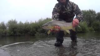 Fly Fishing NZ Mid Summer [upl. by Mayhs]