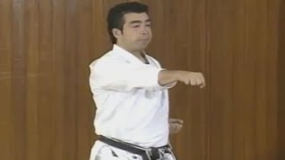 Karate  Oizuki amp Gyakuzuki  Lunge Punch amp Reverse Punch [upl. by Acinnod]