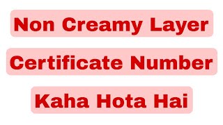 non creamy layer certificate number kaha hota hai  non creamy layer certificate number maharashtra [upl. by Nolava]