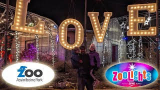 AssiniboinePark Zoo Lights  2023  Winnipeg MB [upl. by Hannis]