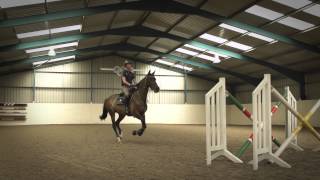 Behind The Scenes of Showjumping  Excelling Under Pressure [upl. by Eldnar]