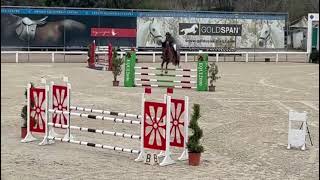 Izabela Vinckier DIJON Final CSIYH Toscana Tour Arezzo 2024 [upl. by Rollecnahc]