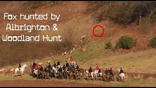 Albrighton amp Woodland Hunt caught chasing a fox [upl. by Kalli]