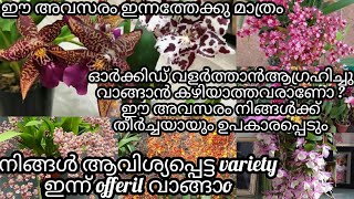 dendrobium varieties wholesale price phelanopsis comboCattleya orchidoncidium one day offer [upl. by Allbee954]