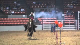 Cowboy Mounted Shooting Joins Houston Rodeo Competition [upl. by Sadler]