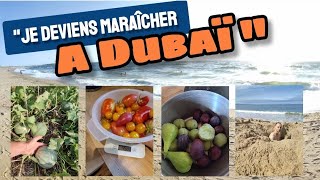 quotJe deviens MARAÎCHER BIO à Dubaï quot  Potager en Août [upl. by Ardnekahs291]