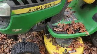 EPIC Leaf Cutting TimeLapse 🌿 [upl. by Ahsemrac]