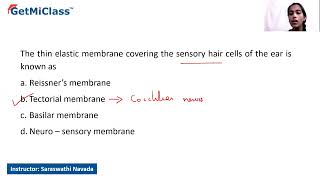 Sensory hair cells [upl. by Terese]