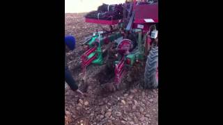 Planting a new Grenache vineyard [upl. by Petrie]