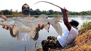 Three hook से मछली पकडने का तरीका। Big singhara fish  Big Carp Fish Fishing Big Tengara Fish [upl. by Eves]