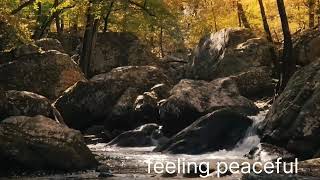 relaxing songmeditation musiclove enjoyable [upl. by Neeloc676]