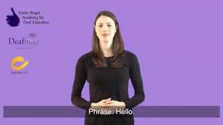 Learn Basic Greetings in British Sign Language BSL [upl. by Ahterod]