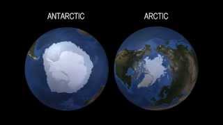 What Does RecordHigh Antarctic Sea Ice Say About Climate Change  Video [upl. by Crosby]